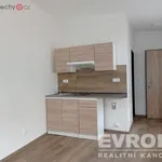 Rent 1 bedroom apartment of 18 m² in Luká