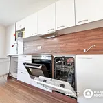 Rent 2 bedroom apartment of 31 m² in Brno