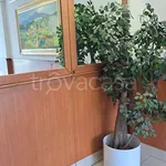 Rent 2 bedroom apartment of 48 m² in Pomezia