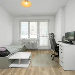 Rent 1 bedroom apartment in Ostrava