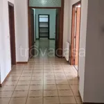 Rent 4 bedroom apartment of 200 m² in San Nicola la Strada