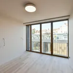 Rent 4 bedroom apartment of 257 m² in Prague