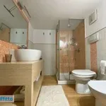 Rent 3 bedroom apartment of 90 m² in Pisa