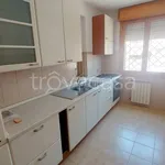 Rent 3 bedroom apartment of 88 m² in Roma