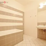 Rent 4 bedroom apartment of 110 m² in Brno-Královo Pole