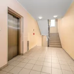 Rent 2 bedroom apartment of 66 m² in Praha