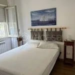 Rent 2 bedroom apartment of 42 m² in Silvi