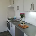 Pronajměte si 2 ložnic/e byt o rozloze 44 m² v Ostrava