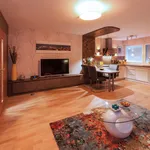 Rent 2 bedroom apartment of 45 m² in Nuremberg