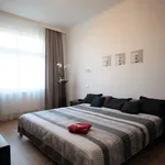 Pronajměte si 2 ložnic/e byt o rozloze 80 m² v Prague