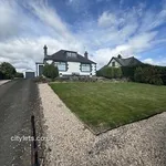 Rent 3 bedroom house in Angus