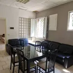 Rent 2 bedroom apartment of 50 m² in Bologna