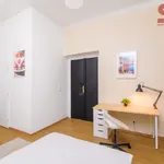 Rent 1 bedroom apartment of 20 m² in Prague