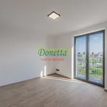 Rent 3 bedroom apartment of 67 m² in Hradec Králové