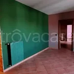 Rent 5 bedroom apartment of 116 m² in Carmagnola