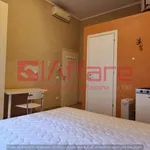 Rent 1 bedroom apartment of 20 m² in Pontedera