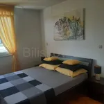 Najam 1 spavaće sobe stan od 49 m² u Split