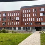 Rent 1 bedroom apartment in Leuven