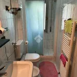 Rent 4 bedroom apartment of 100 m² in Bologna