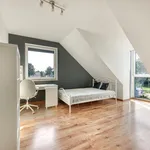 Rent 4 bedroom house of 220 m² in Łódź