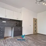 Pronájem bytu 1+kk, 22 m2 ,ul.Libušina-Teplice.