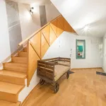 Rent 6 bedroom apartment of 100 m² in Potsdam