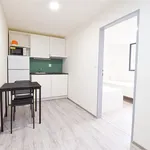 Pronajměte si 3 ložnic/e byt o rozloze 32 m² v Brno