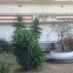 Rent 3 bedroom apartment of 100 m² in Casalnuovo di Napoli