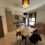 Rent 2 bedroom apartment of 45 m² in Firenze