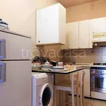 Rent 2 bedroom apartment of 40 m² in Novara