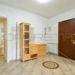 Rent 4 bedroom apartment of 218 m² in Zagreb