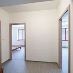 Rent 2 bedroom apartment of 57 m² in Jindřichův Hradec