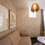Rent 1 bedroom apartment of 330 m² in Lyon