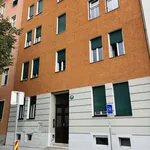 Rent 2 bedroom apartment of 53 m² in Graz