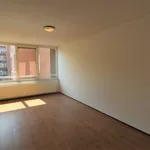 Rent 2 bedroom apartment of 105 m² in Maastricht