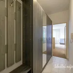 Rent 1 bedroom apartment of 41 m² in Capital City of Prague