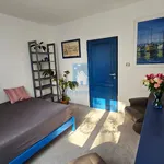 Rent 3 bedroom apartment of 80 m² in Pilsen