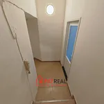 Rent 1 bedroom apartment of 35 m² in Brno