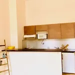 Appartement de 45 m² avec 2 chambre(s) en location à Toulouse