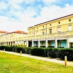 Rent 3 bedroom apartment of 90 m² in Pisa