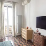 Rent 1 bedroom apartment in rome