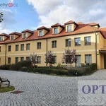 Rent 3 bedroom apartment of 98 m² in Praha