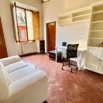 Rent 1 bedroom apartment of 35 m² in florence