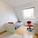 Rent a room of 20 m² in brussels