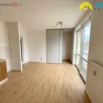 Rent 1 bedroom apartment of 27 m² in Přerov