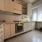 Rent 3 bedroom apartment of 95 m² in Pavia