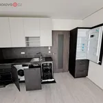 Rent 1 bedroom apartment in Brno