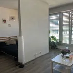 Rent 1 bedroom apartment of 40 m² in Brno