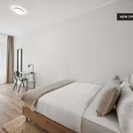 Rent a room in berlin