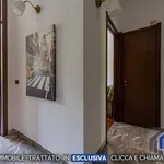 Rent 3 bedroom apartment of 110 m² in Segrate